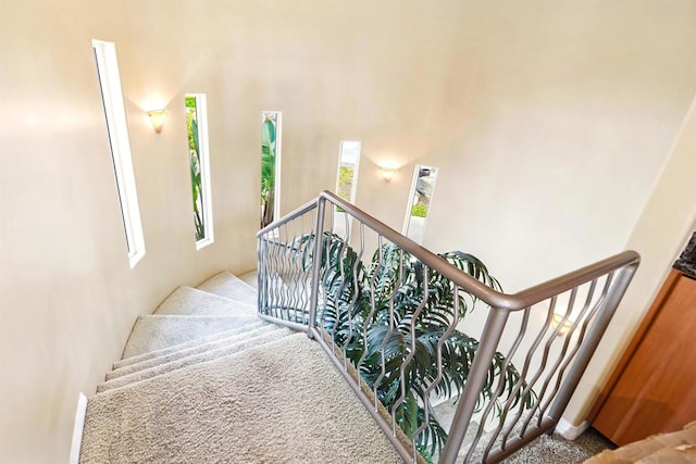 stairway with carpet flooring