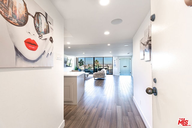 hall with dark hardwood / wood-style floors and expansive windows