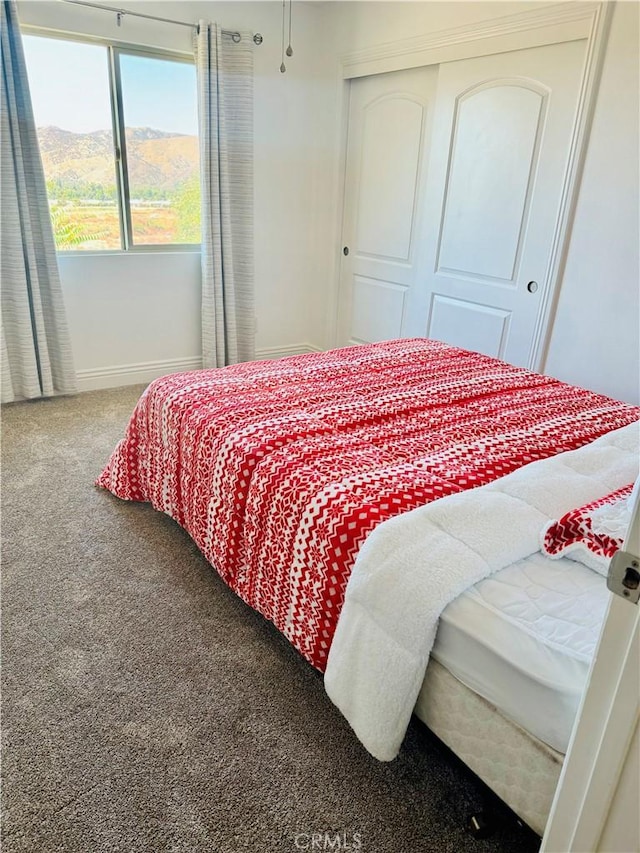 bedroom with a mountain view, carpet floors, and a closet