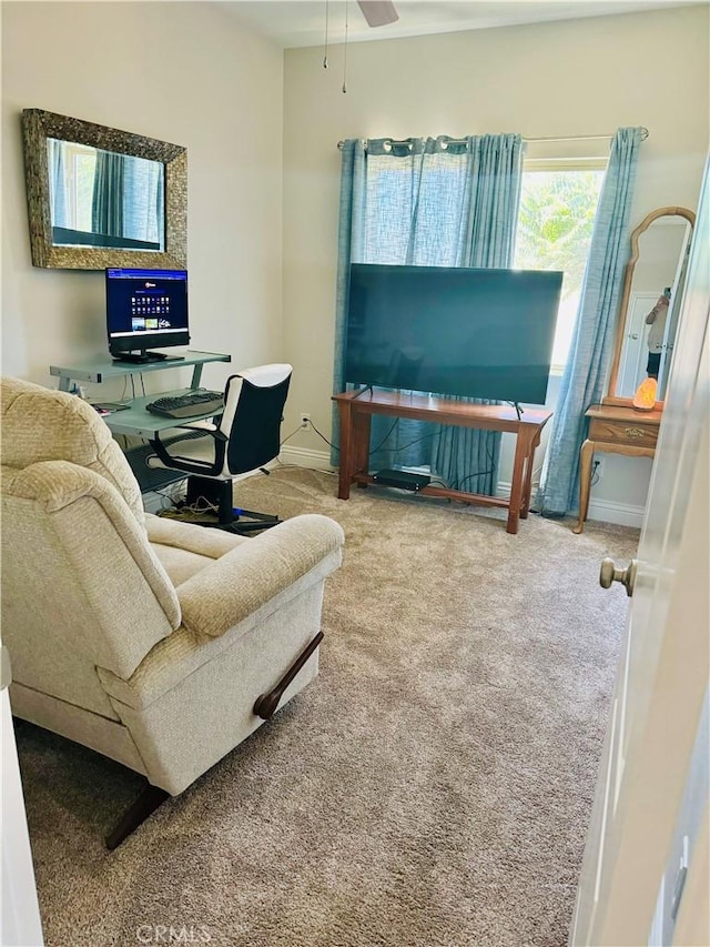 office featuring carpet and ceiling fan