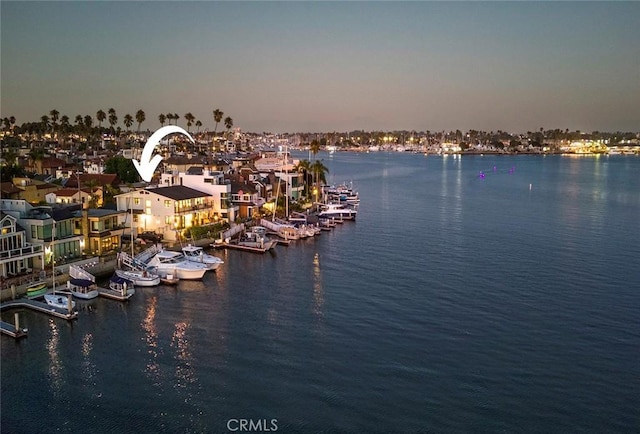 water view featuring a boat dock