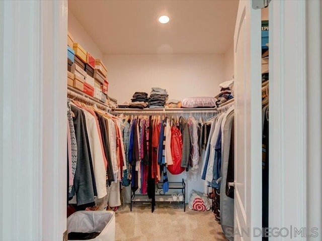 spacious closet featuring carpet floors