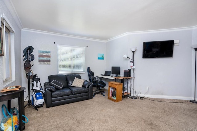 carpeted living room with crown molding