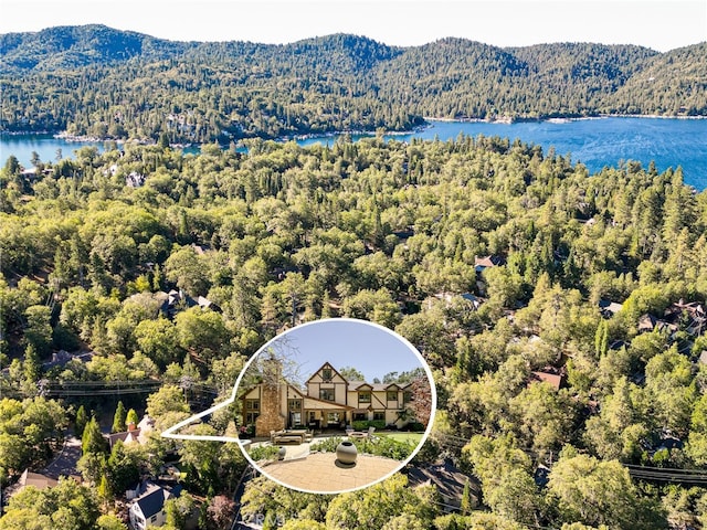 birds eye view of property with a water and mountain view