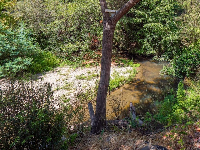 view of local wilderness featuring a water view