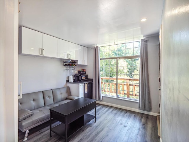 living room with hardwood / wood-style flooring