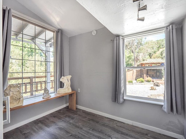 unfurnished room featuring lofted ceiling and dark hardwood / wood-style floors