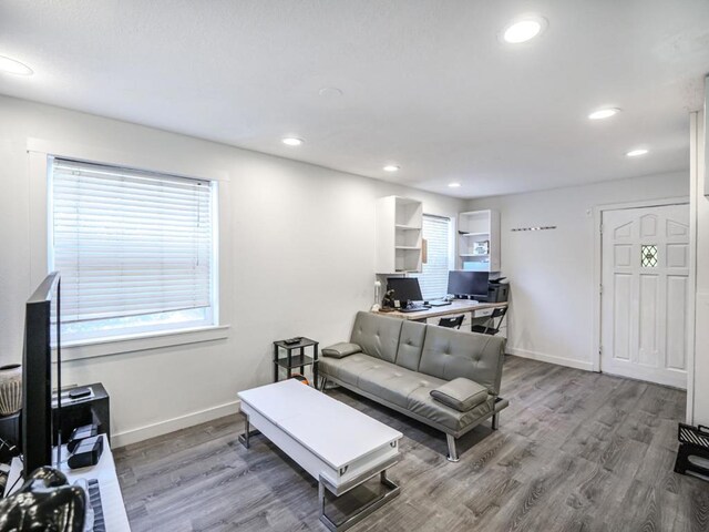 living room with hardwood / wood-style floors