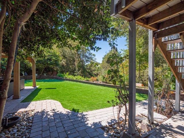 view of yard featuring a patio area