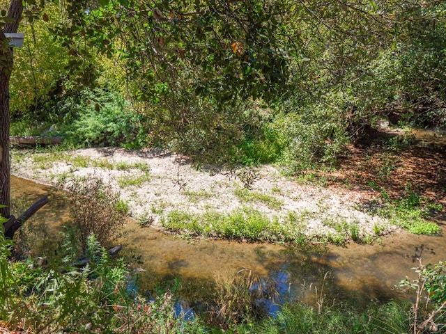 view of local wilderness featuring a water view