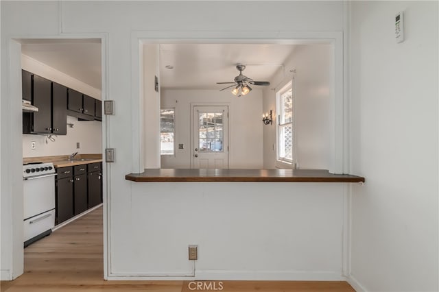 kitchen featuring sink, kitchen peninsula, white range oven, light hardwood / wood-style flooring, and range hood