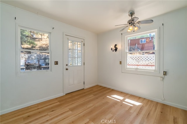 entryway with ceiling fan, plenty of natural light, and light hardwood / wood-style floors