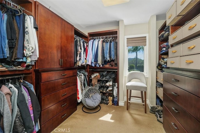 41565 Avenida Conchita, Murrieta, CA 92562 - spacious closet featuring carpet flooring