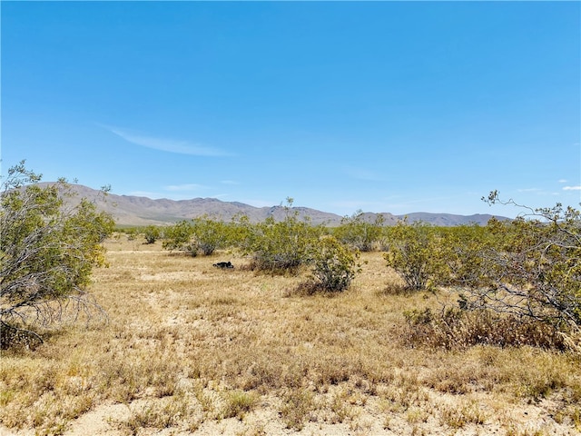 19555 Jackson Ave, Apple Valley CA, 92307 land for sale