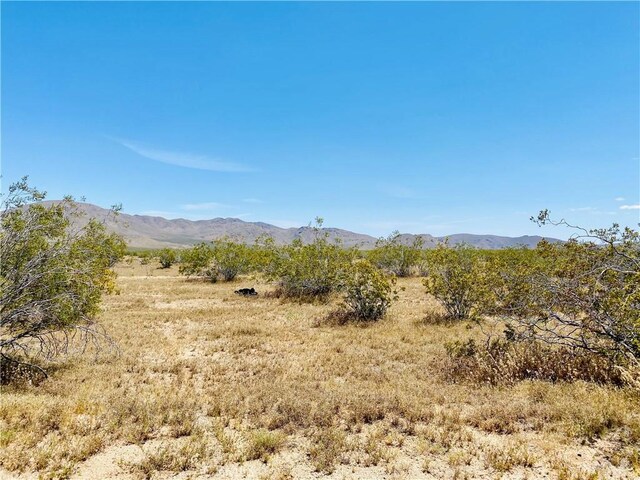 19555 Jackson Ave, Apple Valley, CA 92307 - photo 1
