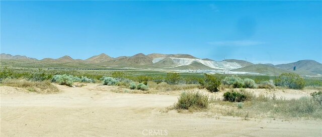 19555 Jackson Ave, Apple Valley, CA 92307 - photo 3