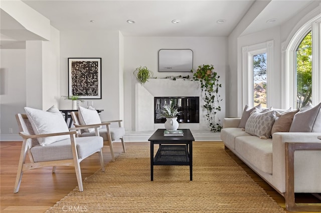 living room featuring light wood-type flooring