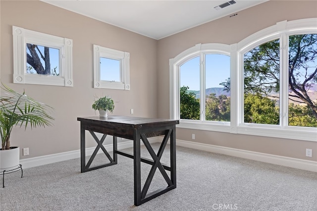 view of carpeted office