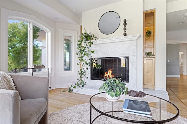 living room featuring a premium fireplace and wood-type flooring