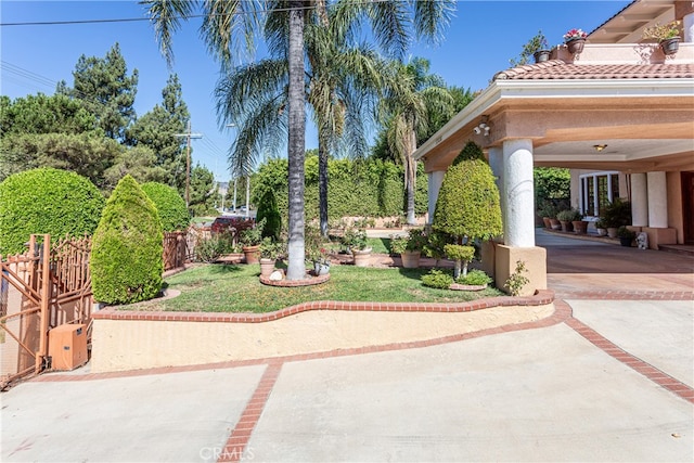 view of yard featuring a patio area