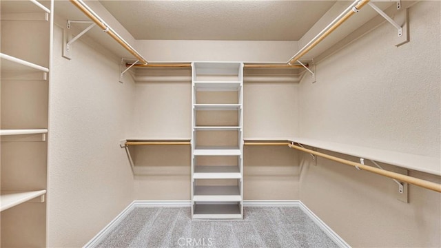 walk in closet featuring carpet