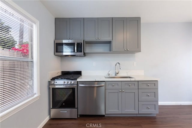 kitchen featuring stainless steel appliances, sink, and gray cabinetry