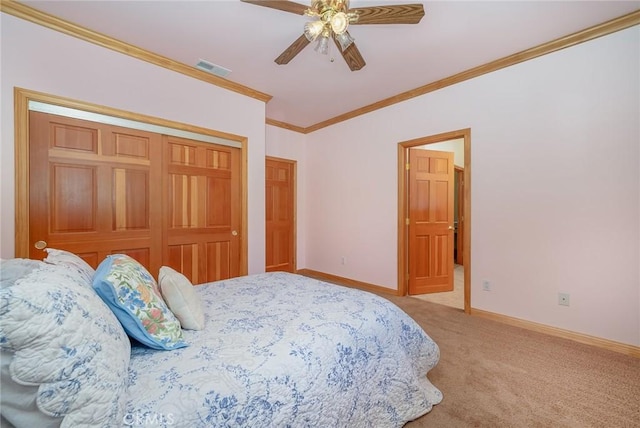 carpeted bedroom with ceiling fan, a closet, and crown molding