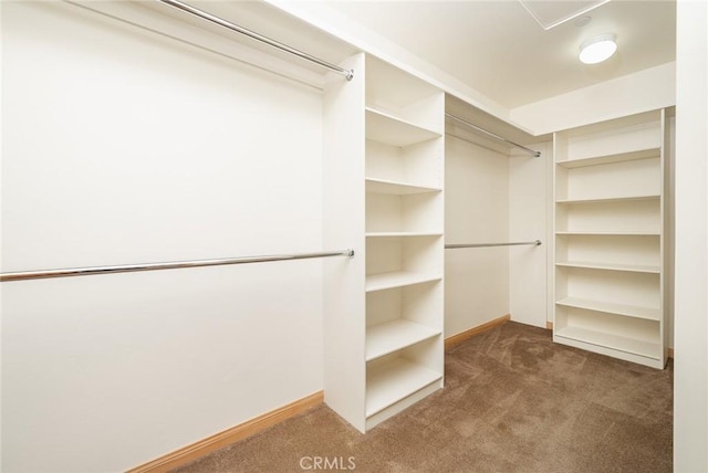 walk in closet featuring dark colored carpet