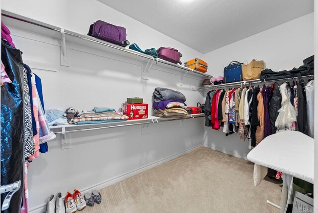 spacious closet with light carpet