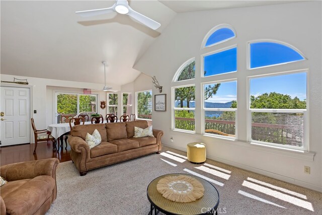 carpeted living room featuring ceiling fan and lofted ceiling