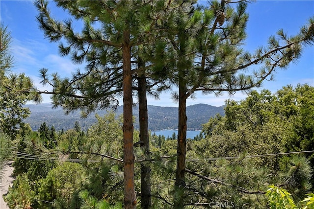 property view of water with a mountain view