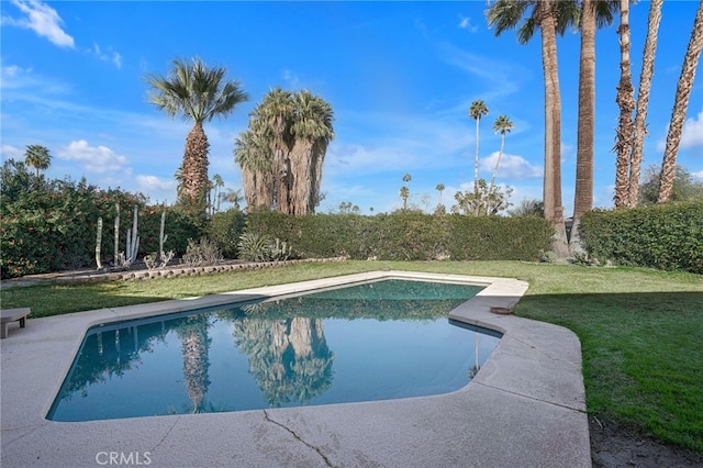 view of swimming pool featuring a yard