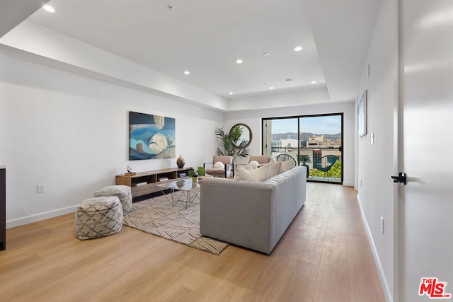 living room with light hardwood / wood-style floors and a raised ceiling