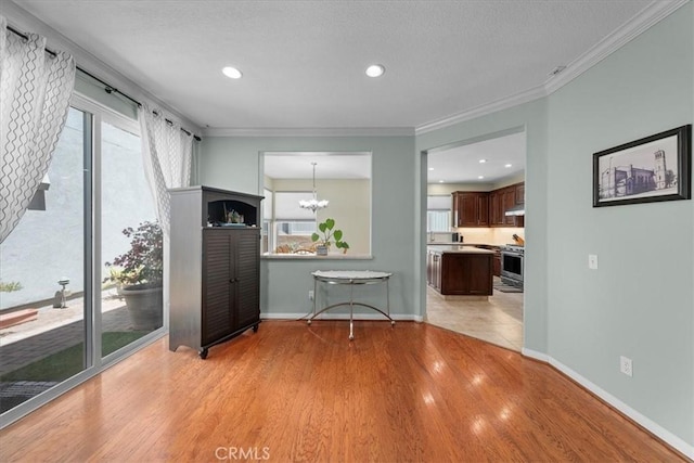 kitchen with ornamental molding, stainless steel stove, and light hardwood / wood-style floors