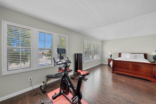 bedroom featuring multiple windows and dark hardwood / wood-style flooring