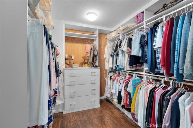 spacious closet with dark hardwood / wood-style floors