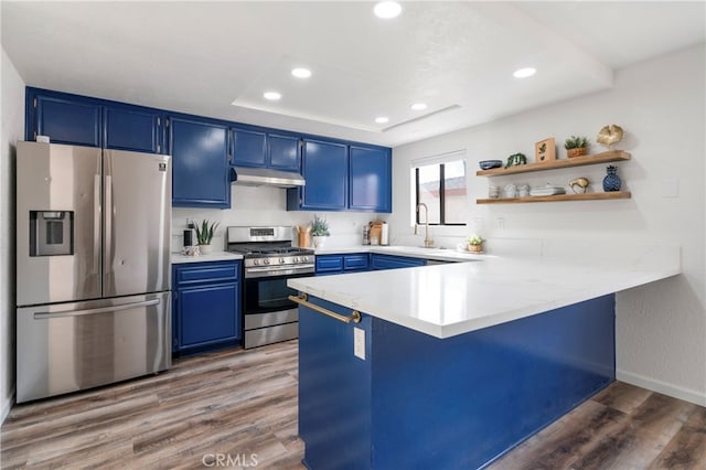 kitchen featuring blue cabinetry, appliances with stainless steel finishes, and dark hardwood / wood-style floors