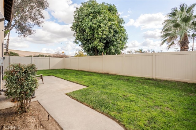 view of yard with a patio area