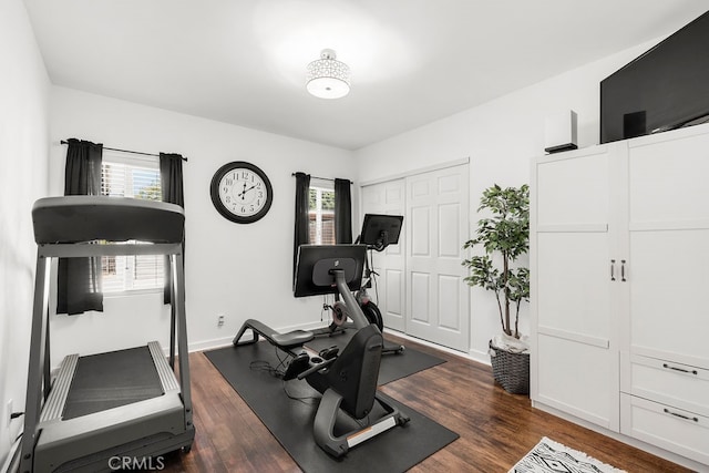 exercise area featuring dark hardwood / wood-style flooring