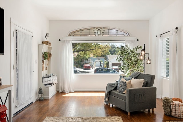 sitting room with dark hardwood / wood-style floors