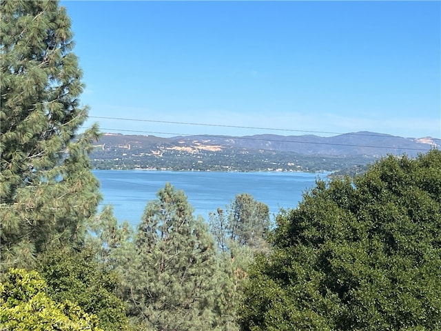 Listing photo 2 for 4747 Kah Bel Trl, Kelseyville CA 95451