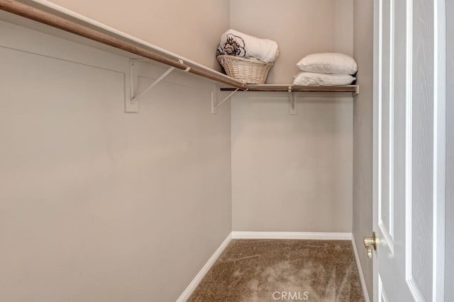 spacious closet featuring carpet floors