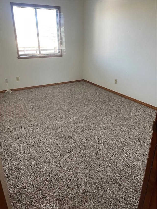 spare room featuring carpet