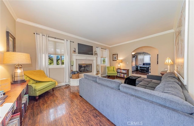 46469 Wallu Ln, Ahwahnee, CA 93601 - living room with arched walkways, ornamental molding, a high end fireplace, and dark wood-type flooring