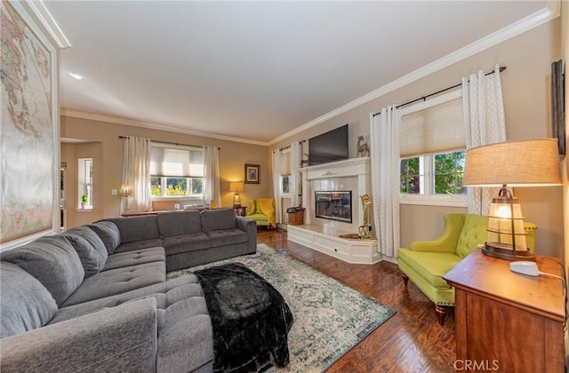 46469 Wallu Ln, Ahwahnee, CA 93601 - living area featuring dark wood-style floors, a high end fireplace, ornamental molding, and a wealth of natural light