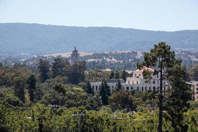 view of mountain feature