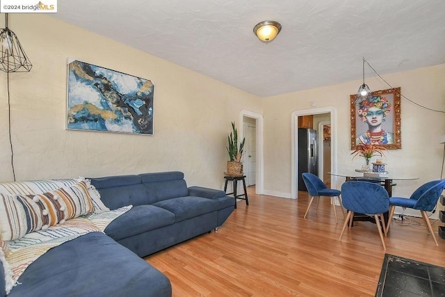 living room featuring wood-type flooring