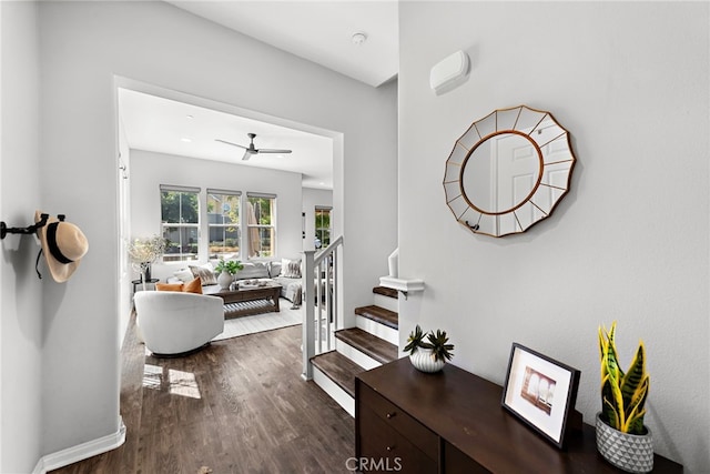 hall featuring dark hardwood / wood-style flooring