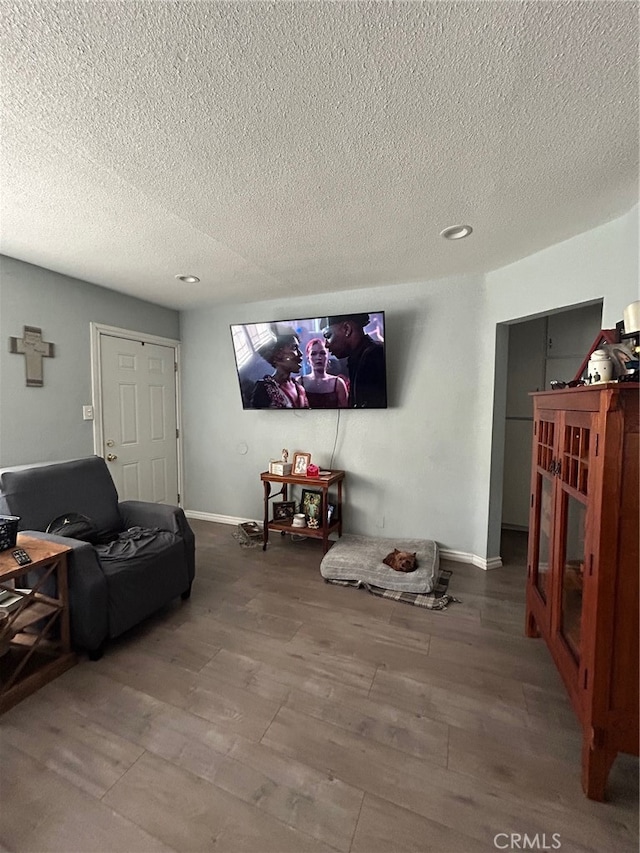 living room featuring a textured ceiling and hardwood / wood-style floors