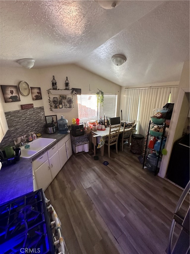 interior space featuring a textured ceiling, lofted ceiling, sink, and dark wood-type flooring